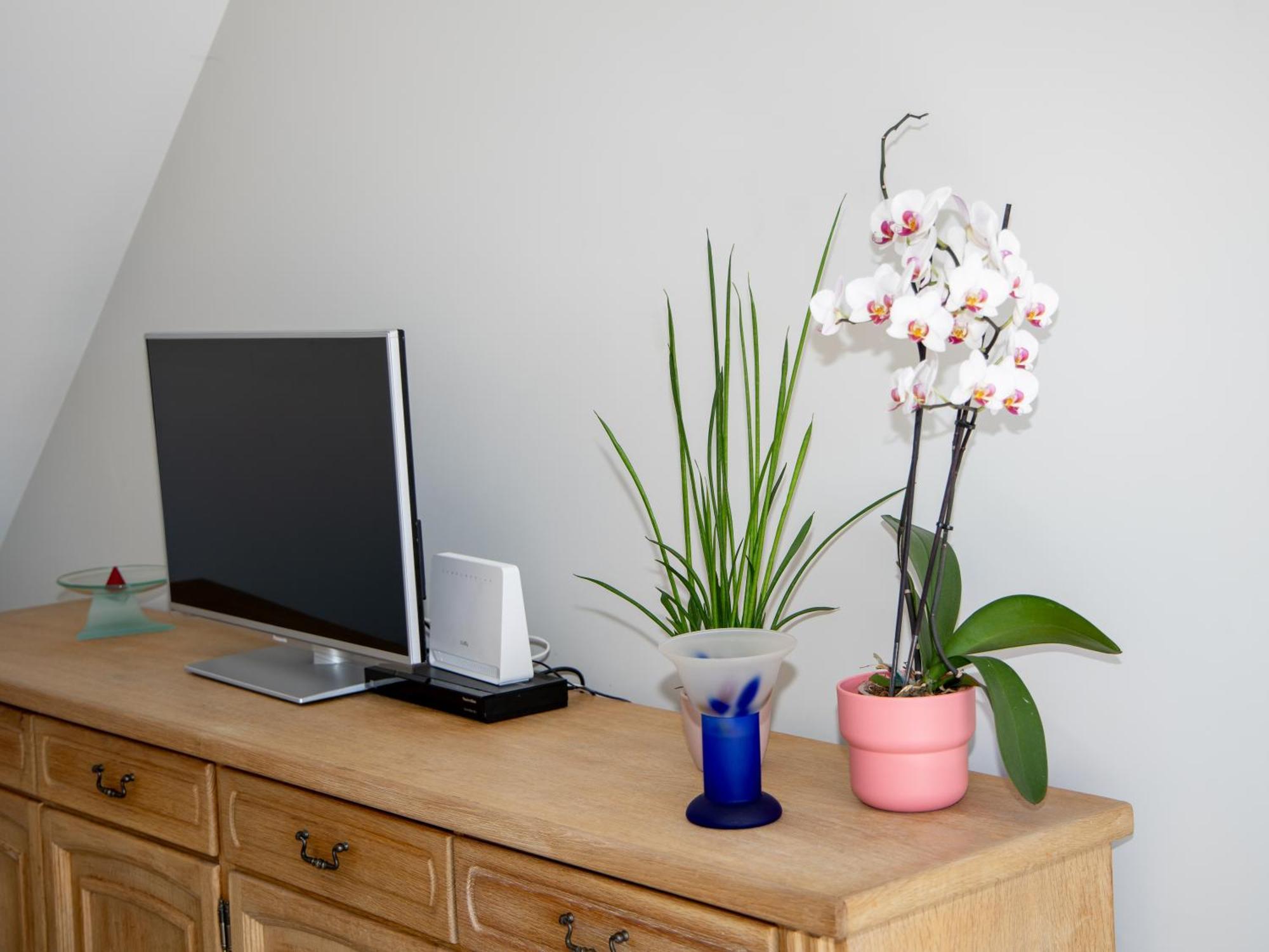 Pontevedra- A Caeira Apartment Ngoại thất bức ảnh